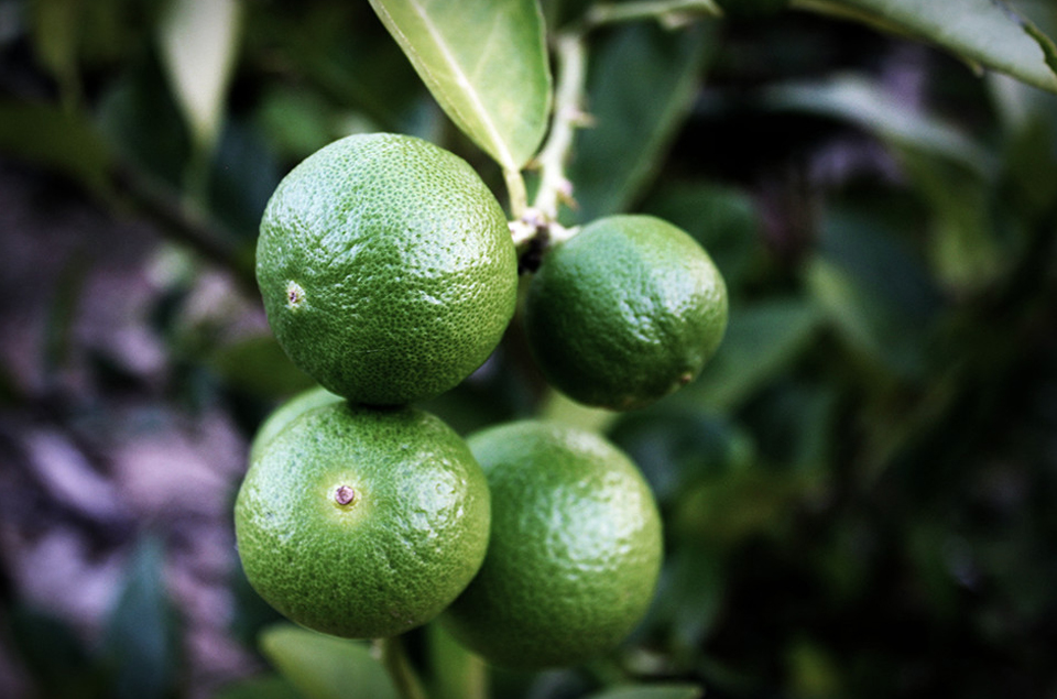 4118云顶集团·(中国)股份有限公司