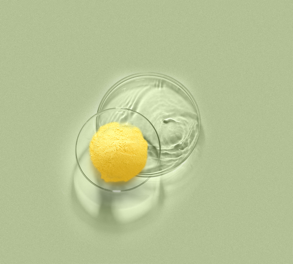 4118云顶集团·(中国)股份有限公司