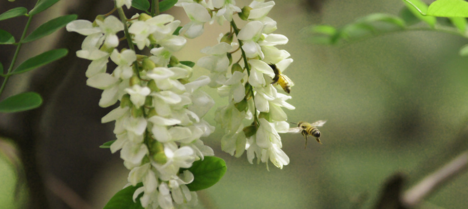 4118云顶集团·(中国)股份有限公司