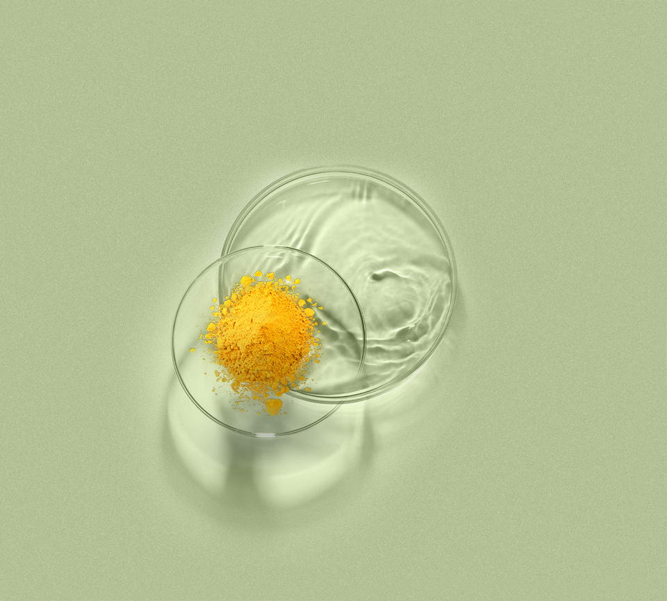 4118云顶集团·(中国)股份有限公司