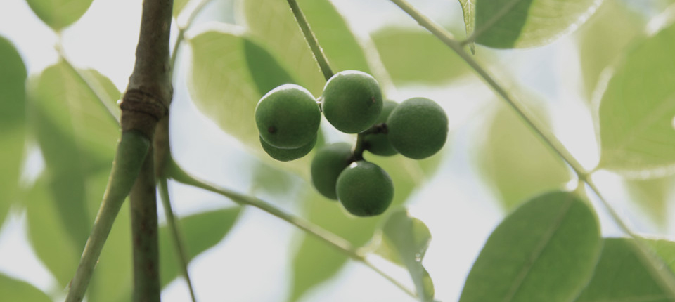 4118云顶集团·(中国)股份有限公司